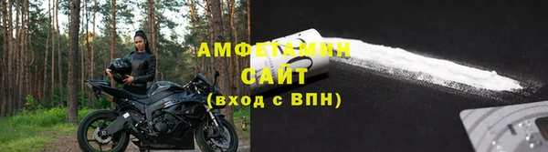 крисы Горняк