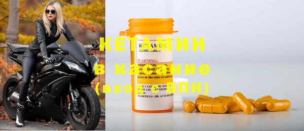 крисы Горняк