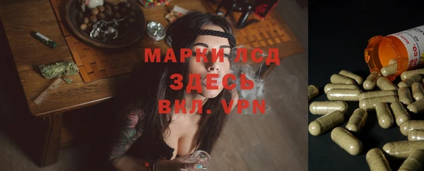 крисы Горняк