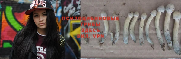 гашик Горнозаводск