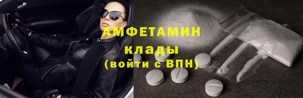 крисы Горняк