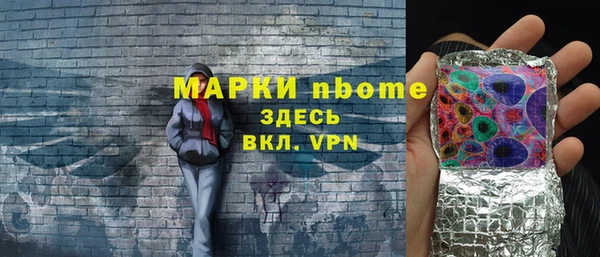 гашик Горнозаводск