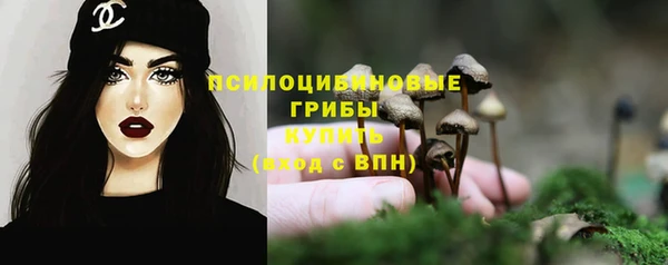 крисы Горняк
