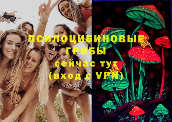 гашик Горнозаводск