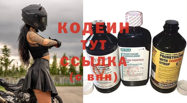 крисы Горняк