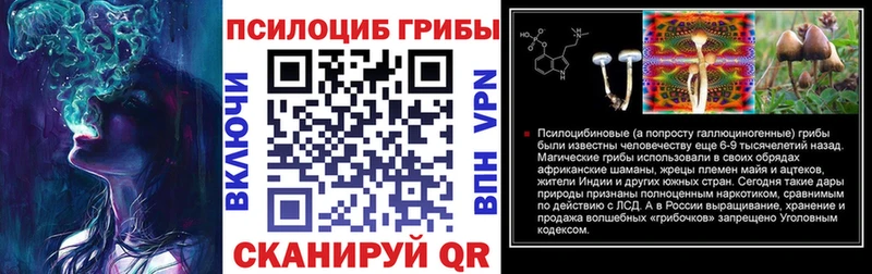 как найти   Балашиха  Галлюциногенные грибы GOLDEN TEACHER 